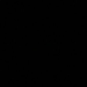 Meet your Posher, Jackson